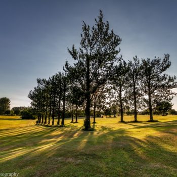 Brayton Golf Course